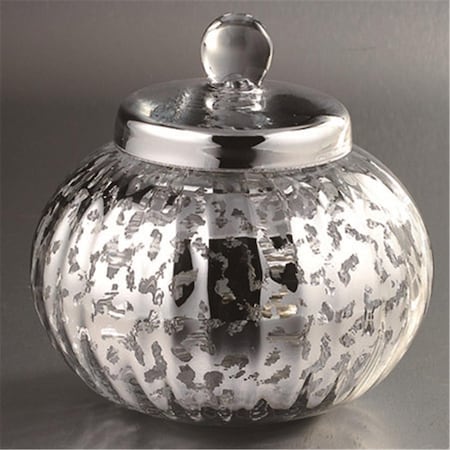 8.5 X 8.5 In. Glass Jar, Silver